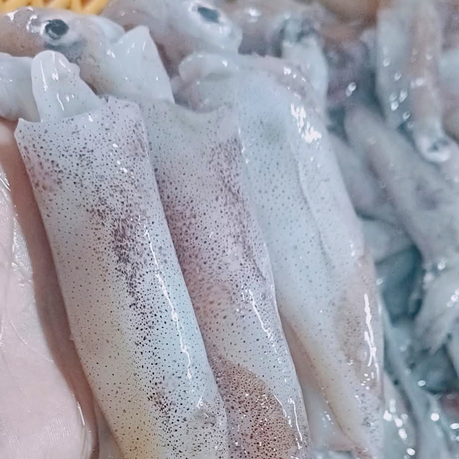 Mực trứng tươi