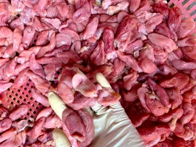 Bao tử cá basa