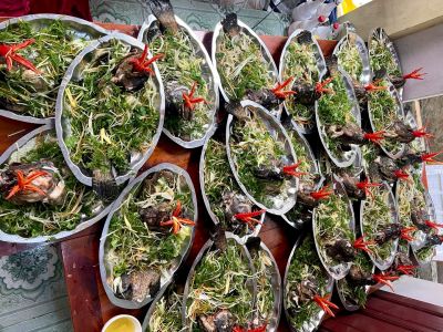 Cá mú biển