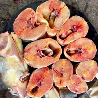 Cá tầm