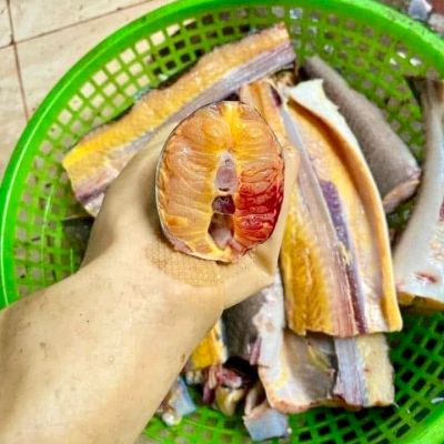 Cá tầm