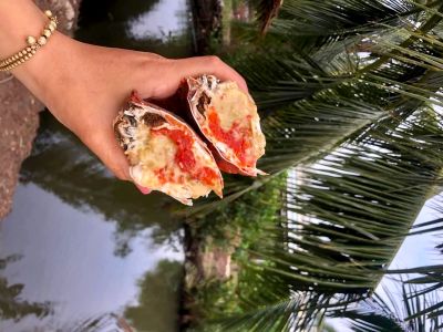 Cua gạch