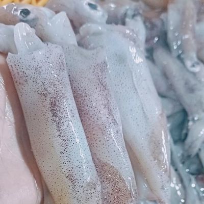 Mực trứng tươi