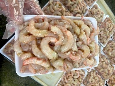 Nõn tôm biển