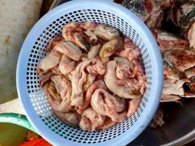 Ruột cá lóc