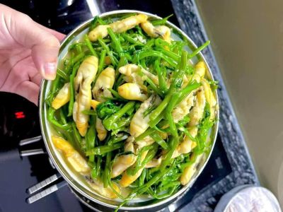 Ốc móng tay