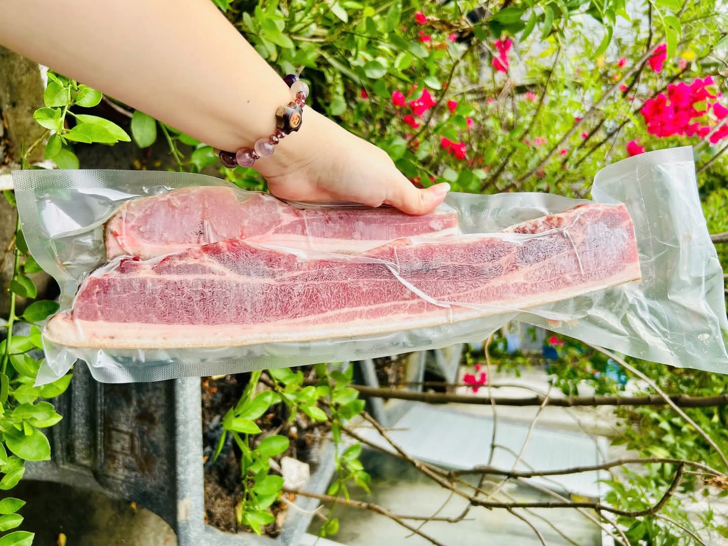 Ba chỉ heo rừng